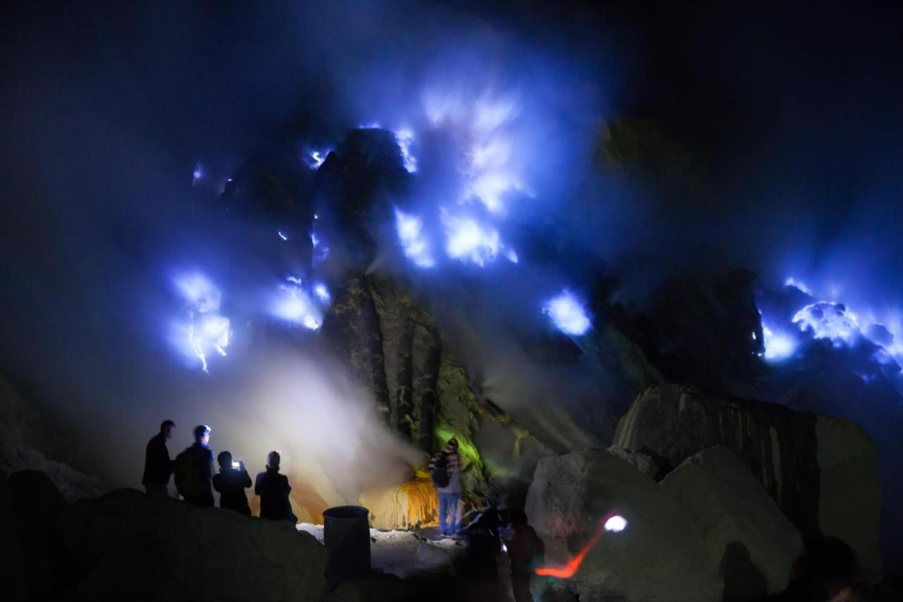 Dannu'S Homestay & Ijen, Bromo, Meru Betiri Sukomade Tours Banyuwangi  Exterior photo