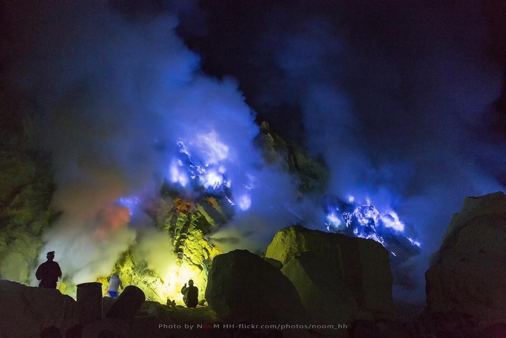 Dannu'S Homestay & Ijen, Bromo, Meru Betiri Sukomade Tours Banyuwangi  Exterior photo